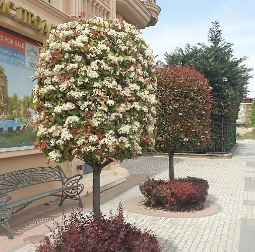 Aparthotel под наем с208 в афродита гарденс